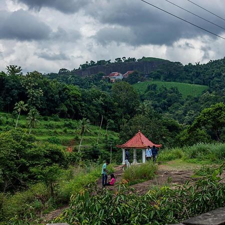 Aruvikuzhy Waterfalls Villa Kozhancheri Luaran gambar