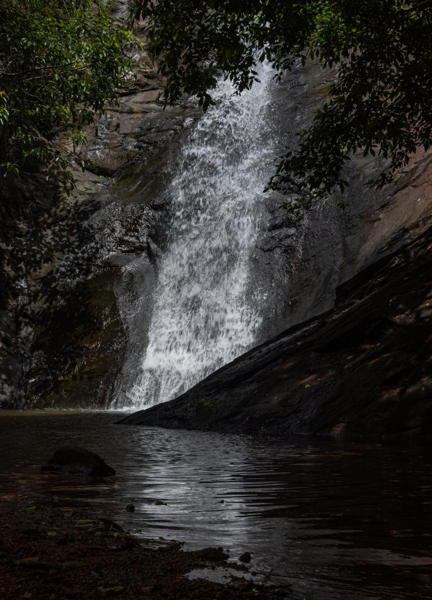 Aruvikuzhy Waterfalls Villa Kozhancheri Luaran gambar